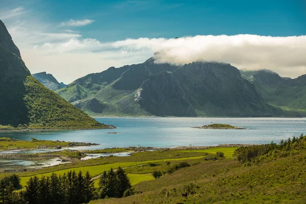 Norvég Lofoten Szigetcsoport Nyári Táj Atlanti Óceán Hegyvidéki Táj Észak — Stock Fotó