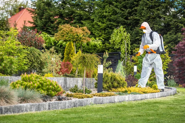 Trabalho Bonito Fertilização Jardim Executado Pelo Jardineiro Caucasiano Profissional Que — Fotografia de Stock