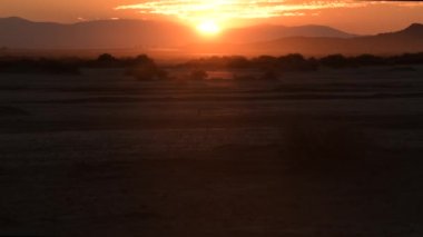 Manzaralı Çöl Günbatımı. Orta Mojave Çölü Kaliforniya, Amerika Birleşik Devletleri 'nin El Mirage Havzası Kuzeybatı Victor Vadisi.