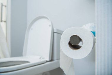 Modern Temiz ve Parlak Tuvalet Odası Taze Tuvalet Kağıdı Duvar Kurulmuş.