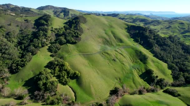 カンブリア近郊の景色カリフォルニア サンタ ルチア ローリングヒルズの空中ビュー 南カリフォルニア海岸景観 アメリカ合衆国 — ストック動画