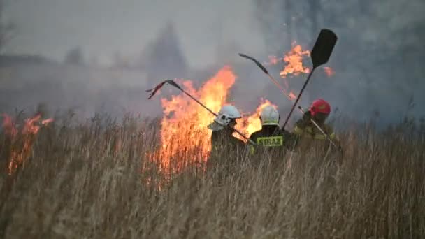 Марта 2022 Краков Тынец Малая Польша Пожарный Сражается Горящей Травой — стоковое видео