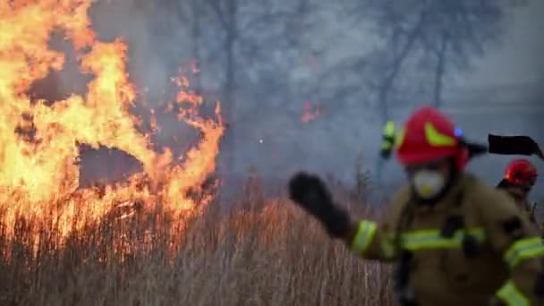 Modernes Europäisches Löschfahrzeug Und Drei Feuerwehrleute Bekämpfen Rasenbrand Hintergrund — Stockvideo