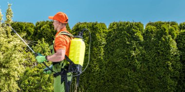 Profesyonel Kafkas Bahçıvanı Sunny Summer Day tarafından gerçekleştirilen mantar ilacı ve böcek ilacı bahçesi. Bahçe Bakım TemasıName.