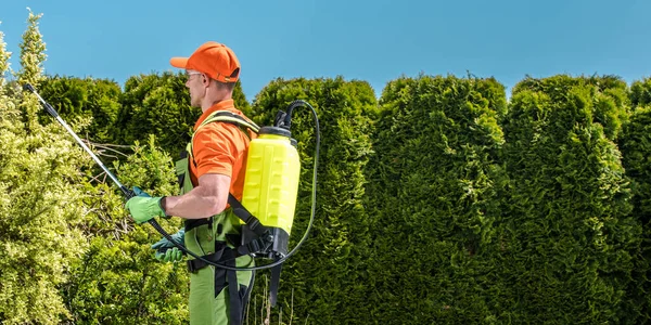 Fungicide Insecticide Garden Uitgevoerd Door Professionele Blanke Tuinman Tijdens Zonnige — Stockfoto