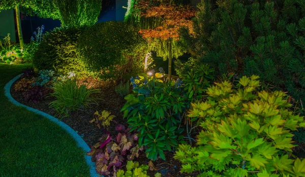 Diiluminasi Oleh Led Lights Residential Backyard Rockery Garden Dengan Mature — Stok Foto