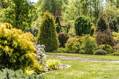 Beautiful Residential Backyard Garden with Mature Decorative Plants and Warm Summer Sun Light. Landscaping Industry.