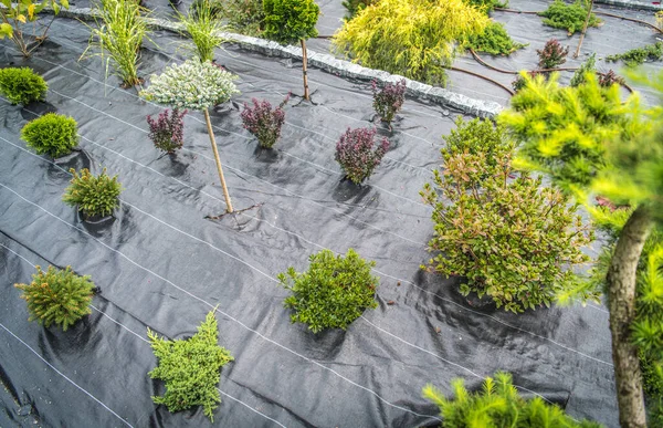 Weed Control Fabric Newly Created Backyard Garden Drip Irrigation System — Stockfoto