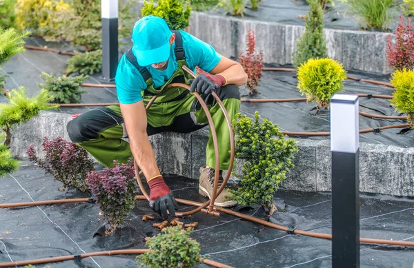 Professionele Kaukasische Landscaper Building Drip Irrigation System Een Tuin Landscaping — Stockfoto