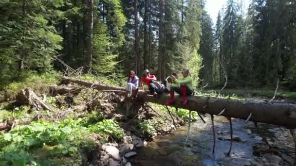 Rodina Dovolené Fotografie Při Pěší Túře Lese Sedadlo Padlém Stromě — Stock video