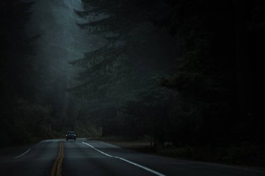 Kuzey Kaliforniya 101 Redwood Karanlığından sonra gelen kamyonet. Woodland Yolu.