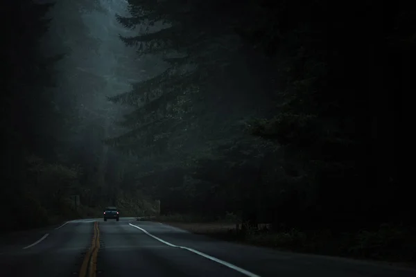 Pickup Truck Northern California 101 Redwood Highway Dark Woodland Road — Stock Photo, Image