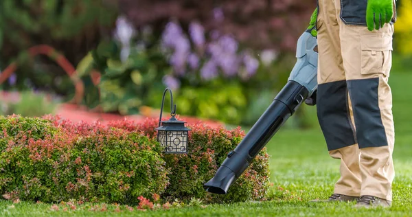 Jardinier Professionnel Avec Ventilateur Feuilles Dans Son Jardin Résidentiel Jardin — Photo