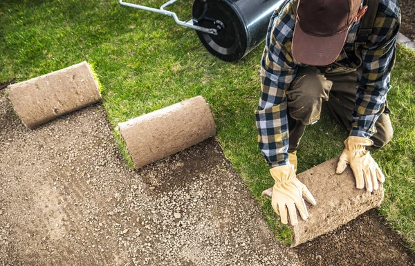 2018 Professional Landscaper Rolling Out Natural Grass Turfs Newly Build — 스톡 사진