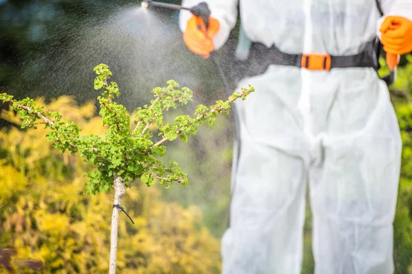 裏庭の植物にペチサイドを噴霧特別な保護服のプロの庭師 ガーデンケアとメンテナンスのテーマ — ストック写真