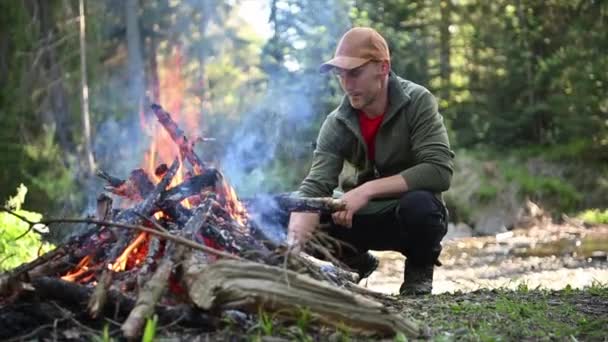 森の中の野生の夏のキャンプファイヤー 薪を燃やす Close — ストック動画