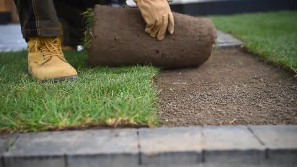 Natural Grass Turfs Installation Performed Professional Landscaper Close Photo Residential — Stockvideo