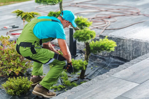 Tukang Kebun Kaukasia Merawat Tanaman Shrubs Pruning Maintain Appearance Landscape — Stok Foto