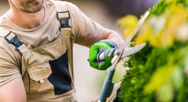 Gardener Masculino Caucasiano Sentado Terraço Seus Clientes Quintal Depois Com — Fotografia de Stock