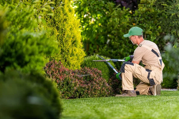 Garden Pruning Works Maintain Appearance Shrubs Bushes Trees Other Plants — Stock Photo, Image
