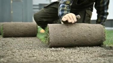 Doğal Çimen Turları Arka Bahçe Kurulumu İçin Hazırlandı. Bahçe düzenleme ve Bahçe Teknolojileri.