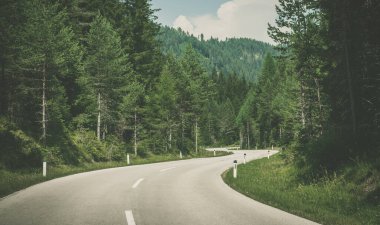 Vahşi Orman 'daki Manzaralı Yol. Seyahat ve Yolculuk Teması.