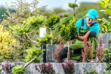 Caucasian Male Landscape Gardener Staking Up and Securing a Fleshly Planted Green Shrub to Support Its Proper Growth. Professional Landscape Design Theme.