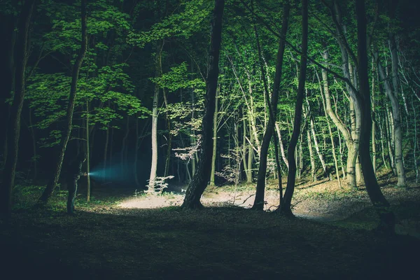 Man Turned Flashlight His Hands Standing Middle Dark Forest Exploring — Photo