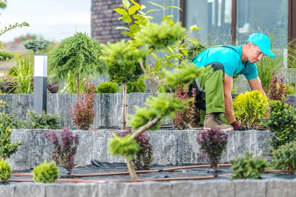 Caucasian Gardener Blue Cap Shirt Arranging Newly Created Front Yard — Stok Foto