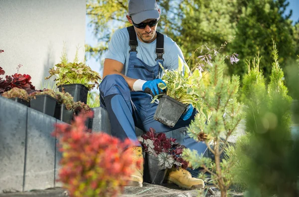 Professional Gardener Selecting Proper Plants Newly Developed Residential Backyard Garden — Fotografia de Stock