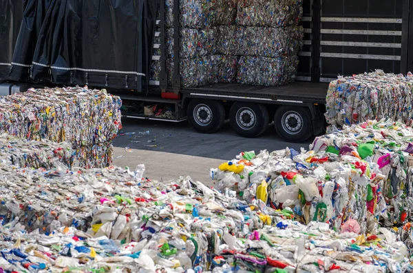 Collected Sorted Pet Bottles Other Plastic Waste Going Materials Recovery — Stockfoto