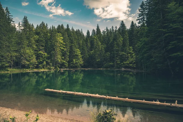 Scenic Turquoise Alpine Bodensee Lake Southern Austria European Natural Wonders — 图库照片