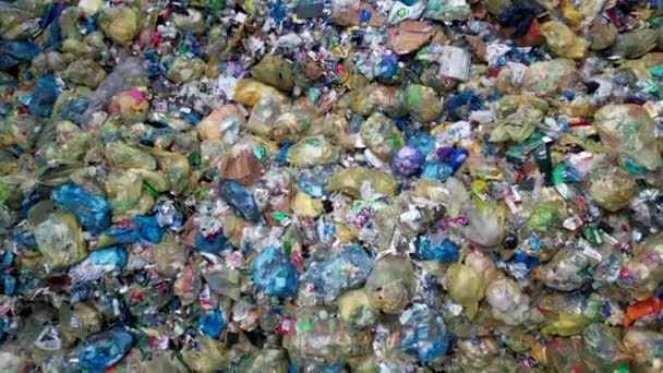 Pile Trash Bags Awaiting Processing Waste Sorting Facility — Vídeos de Stock