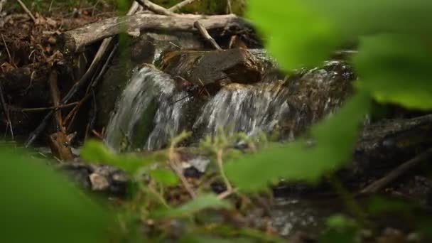 Summer Time Small Mountain Rocky Creek River Begins — Stockvideo