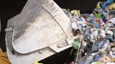 Bulldozer Moving Garbage Waste Inside Sorting Facility Close Up. Pile of City Transported Waste
