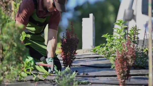 Professional Landscaper Installing Drip Irrigation System Newly Developed Modern Rockery — Vídeos de Stock