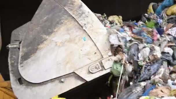Bulldozer Moving Garbage Waste Sorting Facility Close Pile City Transported — Video Stock