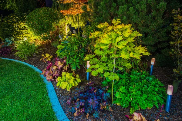 Beautifully Landscaped Backyard Garden Green Lawn Variety Plants Decorated Solar — Stok Foto