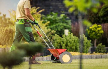 Caucasian Professional Gardener with Push Spreader Fertilizing Residential Lawn For a Good Health and Appearance of the Grass. Garden Maintenance. clipart