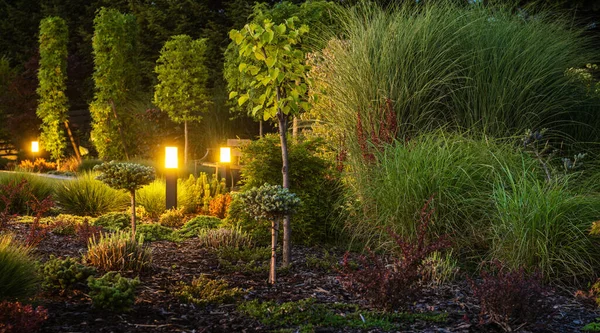 Colorful Full Decorative Backyard Garden Illuminated Outdoor Landscape Lighting Night — Foto de Stock