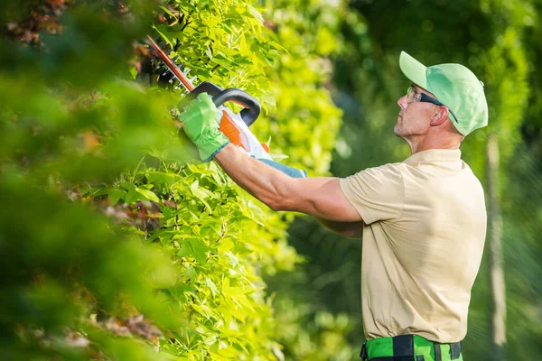Caucasian Professional Gardener His 40S Electric Cordless Hedge Trimmer Action — Foto de Stock
