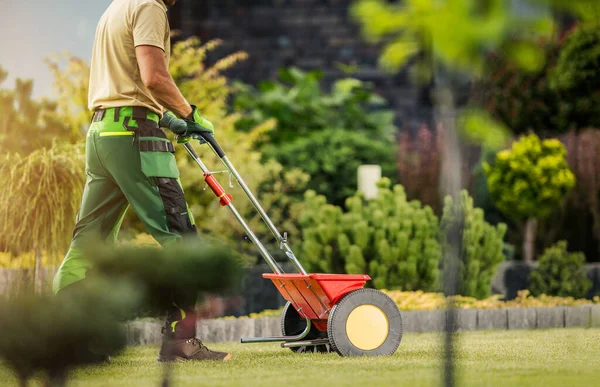 Caucasian Professional Gardener Push Spreader Fertilizing Residential Lawn Good Health — ストック写真