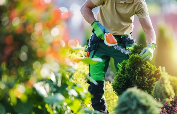 Professional Gardener Shaping Garden Plants Using Small Modern Cordless Electric — 스톡 사진