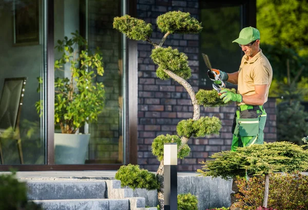 Professional Caucasian Gardener His 40S Trimming Decorative Tree Using Cordless — 스톡 사진