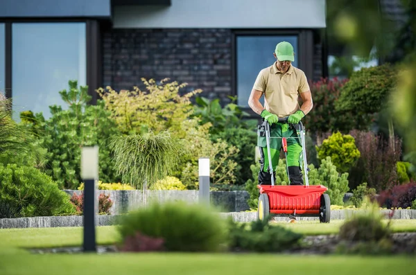 Residential Lawn Grass Fertilizing Using Push Spreader Gardener Job Theme — ストック写真