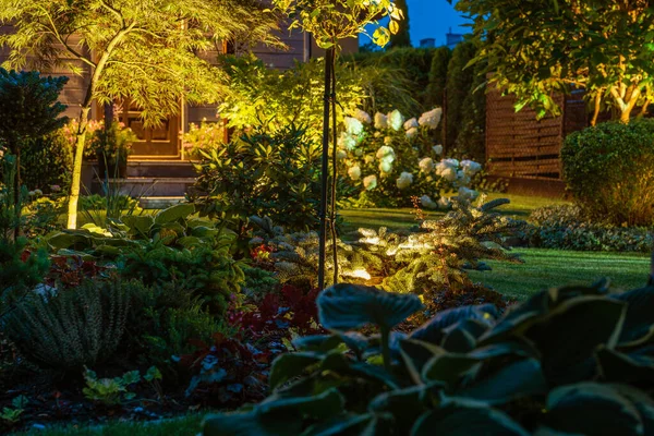 Led Lights Illuminated Small Backyard Garden Night Scenery Rockery Plants — Zdjęcie stockowe