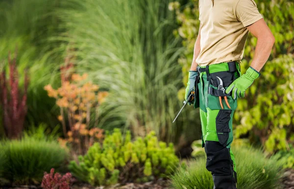 Professional Garden Worker with His Tools Staying Inside Beautiful Backyard. Landscaping and Gardening Industry.