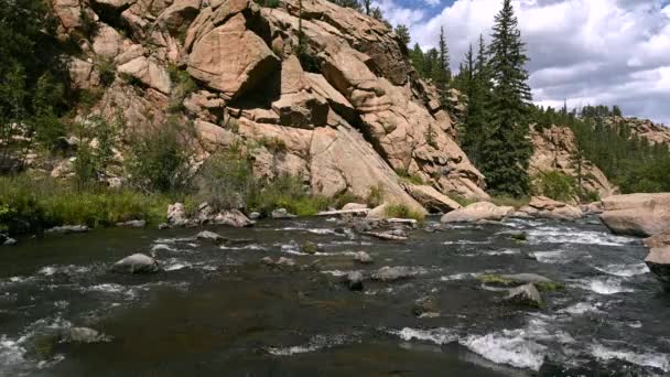 Rushing South Platte River Colorado Eleven Miles Canyon — ストック動画