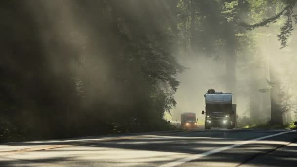 October 2021 Crescent City California Traffic Famous Redwood Highway 101 — Vídeo de stock