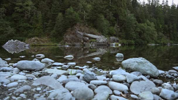 Rocky Redwood River Bed Nortnern California Usa — Stockvideo